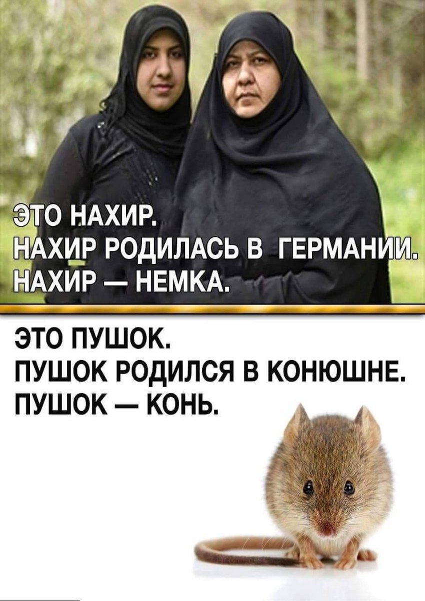 Из свободного источника