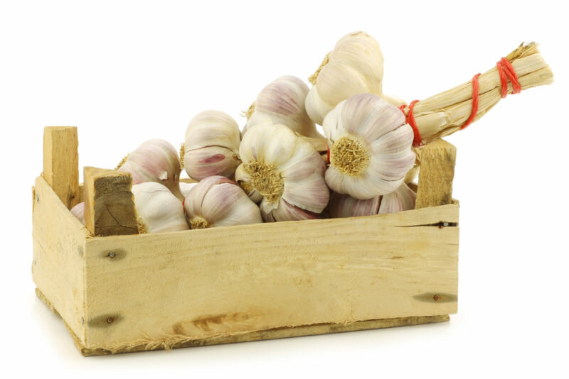 Чеснок. (Фото используется по стандартной лицензии ©ogorodnye-shpargalki.ru)