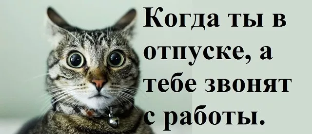 С работы звонят. Когда звонят с работы а ты в отпуске. Когда в отпуске звонят с работы. Когда в отпуске звонят с работы картинки. Когда ты в отпуске.