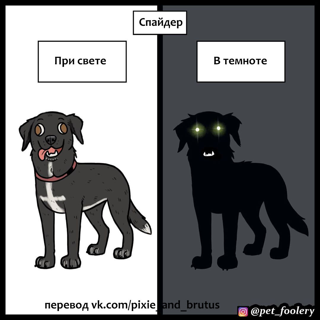 Собаки в виде комиксов