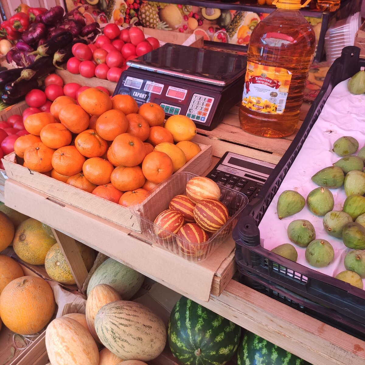 Это и все остальные фото в данной статье сделаны автором канала "Играй со мной"