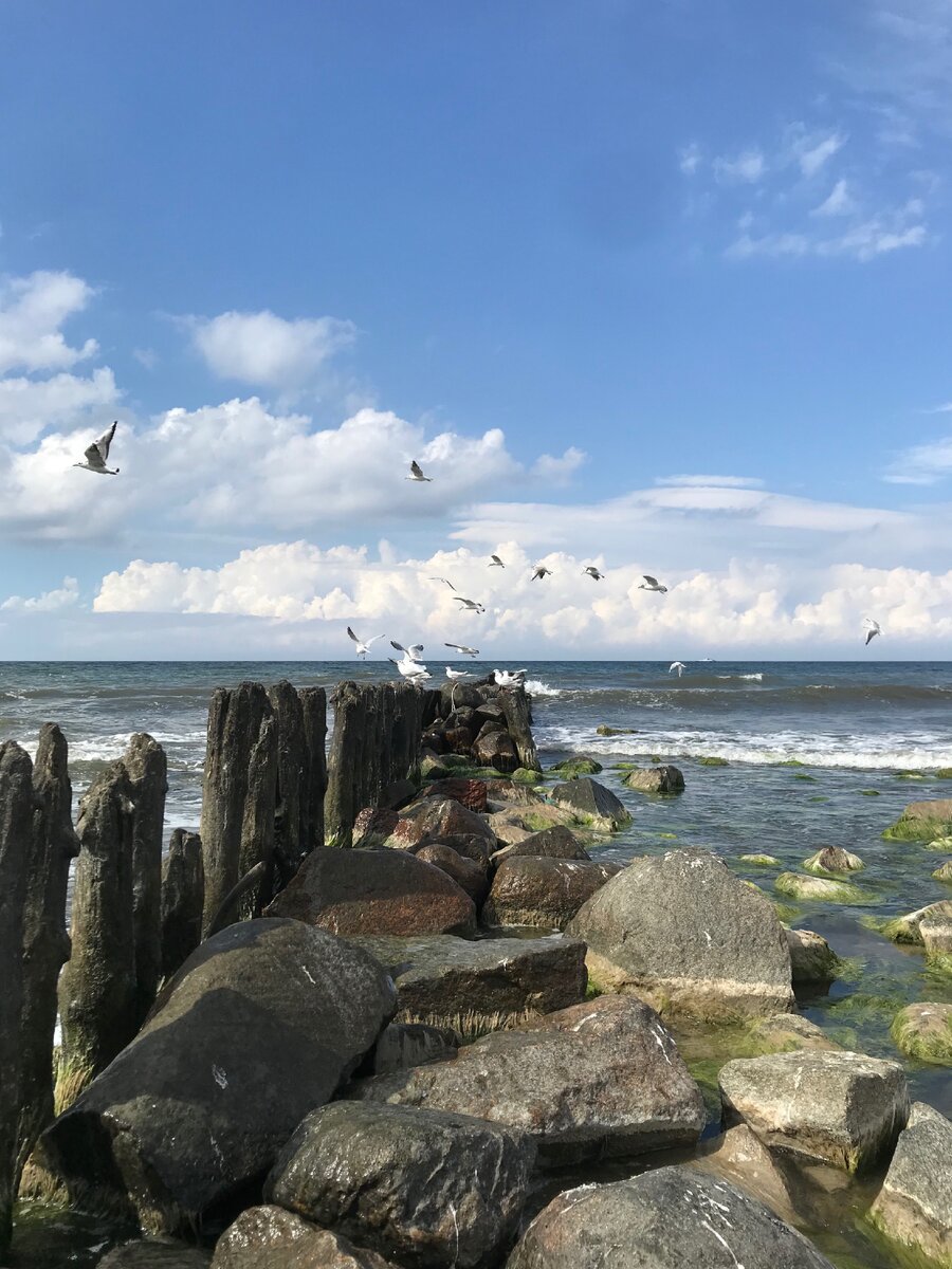 Кое-где ещё остались старые волнорезы.