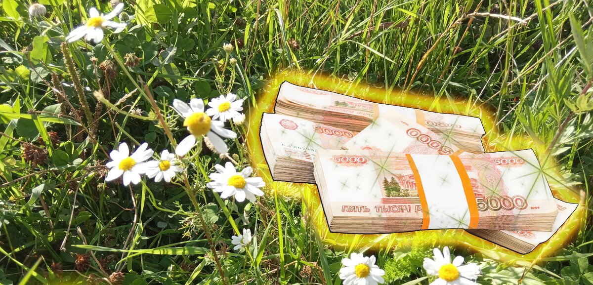 Разбираемся, как же заработать на полевых цветах!