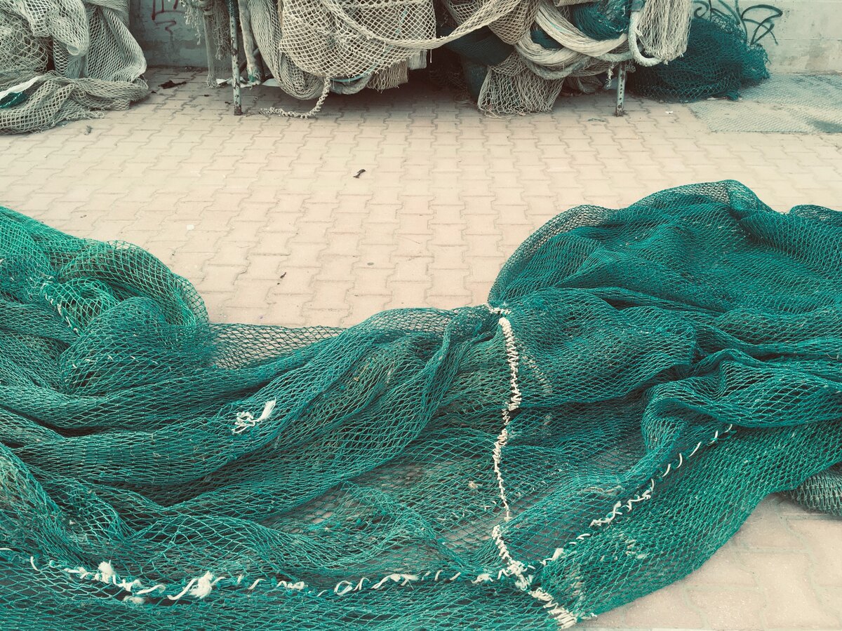 Фото: Piano Piano