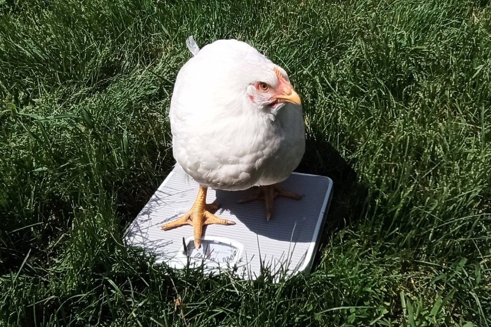 Фото: UfacityNews.ru