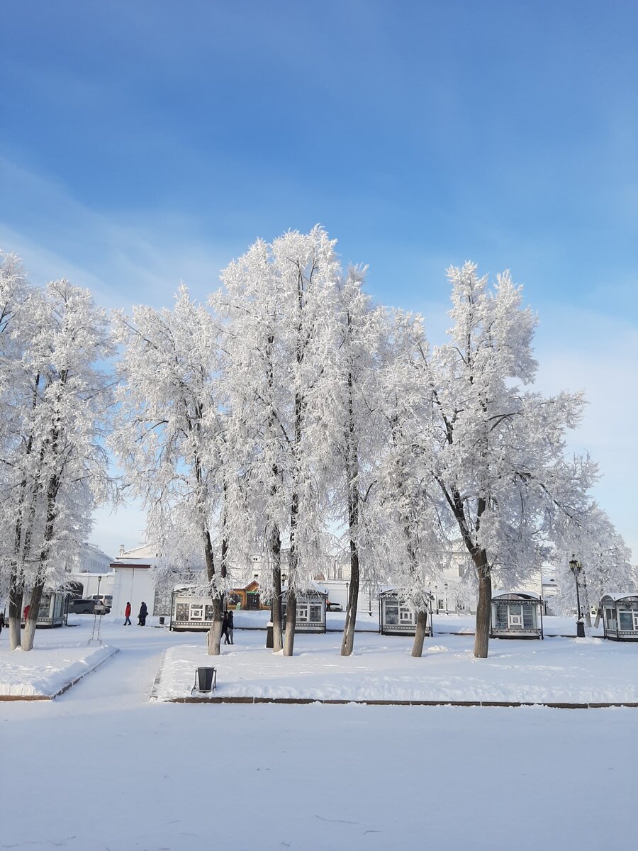Заснеженные липы около Тобольского кремля и сувенирные лавки..