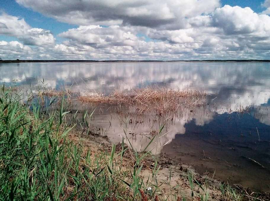 Медвежье озеро в курганской области