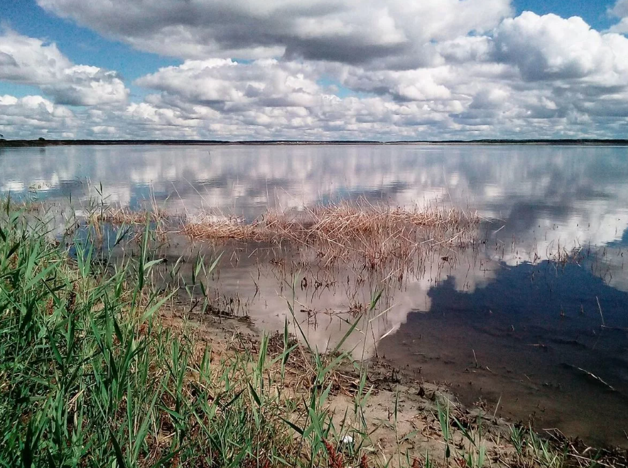 Озеро медвежье курганская область