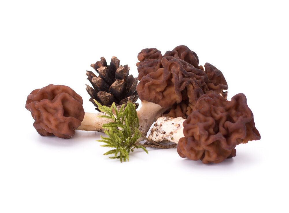 Строчки Фото: Shutterstock.com