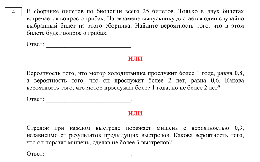 Демоверсия русский язык 24 год