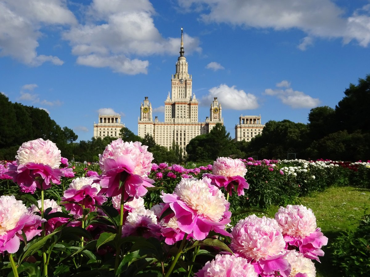 Красивые места в москве весной. Пионы ботсад МГУ. Ботанический сад МГУ Москва. Ботанический сад Москва МГУ Ломоносов. Ботанический сад биологического факультета МГУ.