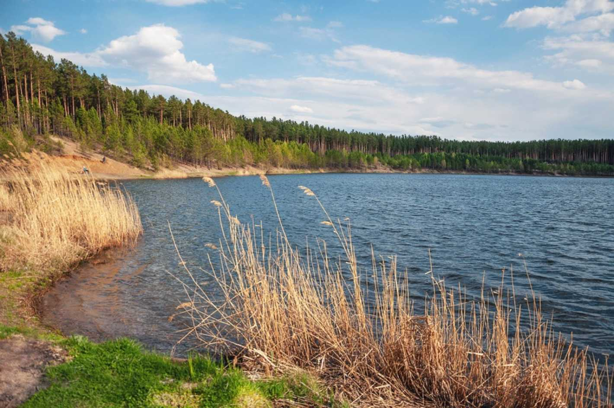 Погода каргала томская область шегарский. Озеро Лебяжье Томск. Озеро Мельниково Томск. Озеро Родниковое Шегарский район. Озеро Речешное Шегарский район.