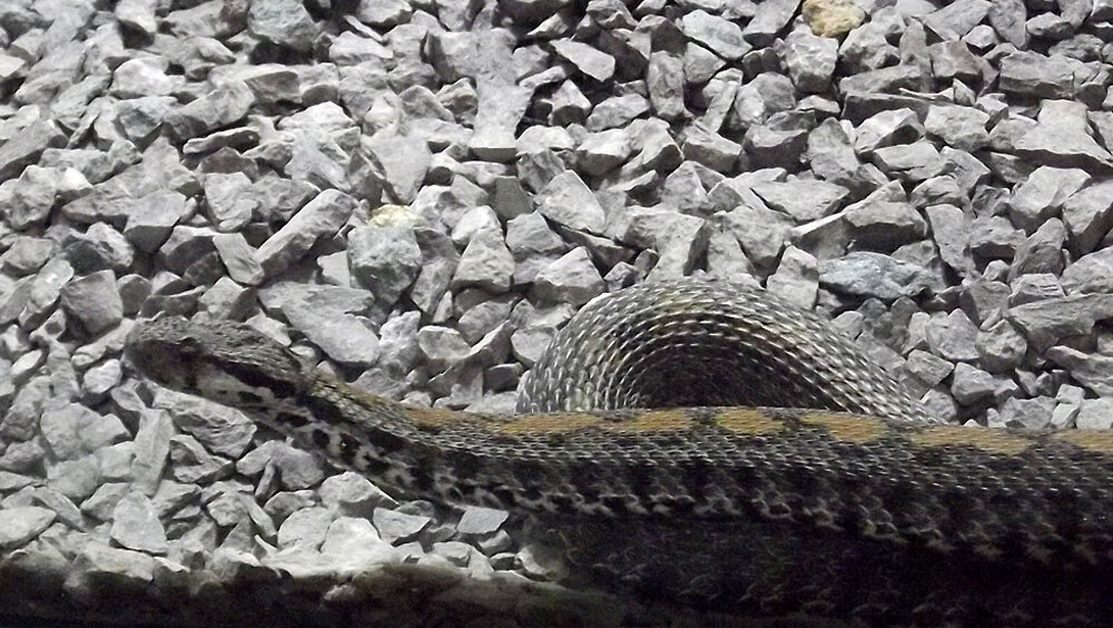 Фото из личного архива