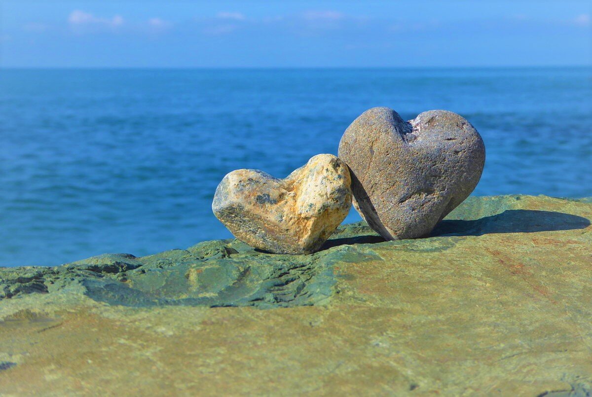 Красивый вид