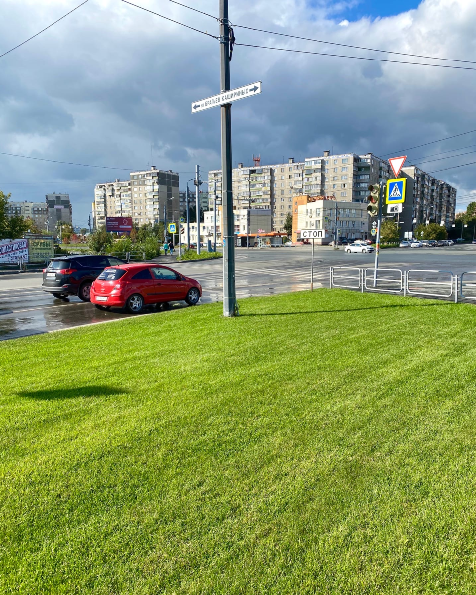 Газон в городе. Геопластика холмы в ландшафтном дизайне. Газон в городе. Обыкновенный газон в городе. Газон вдоль дороги.