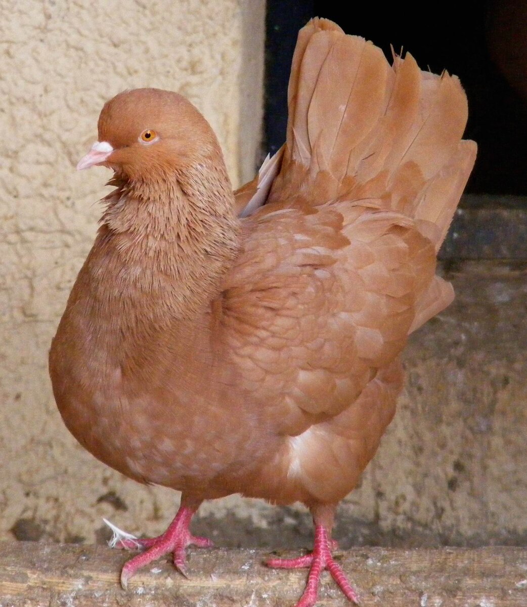 Фото взято из открытых источников