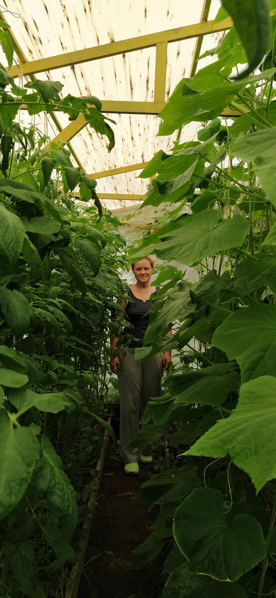 Мои джунгли в теплице! Радовалась как ребенок.