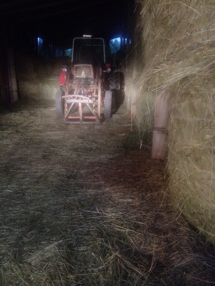 Фото автора. Трактор в сеновале