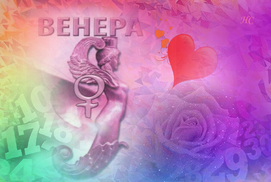 Коллаж Нины Стрелковой.