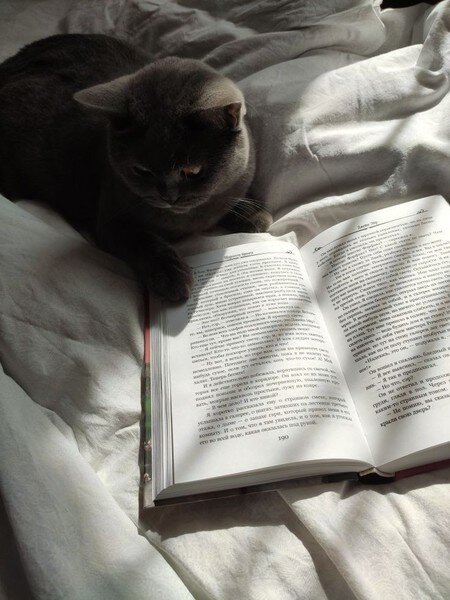 Фото с Pinterest