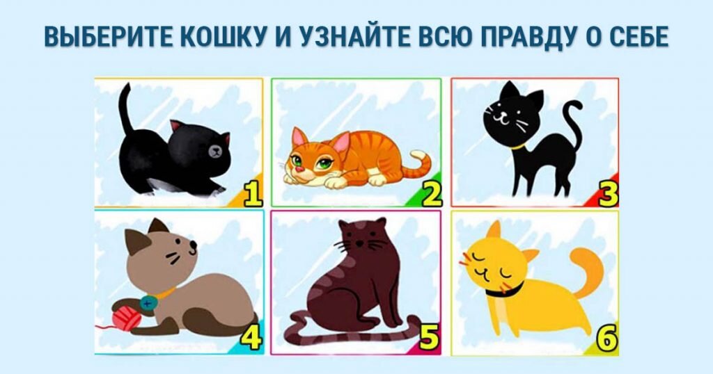 Котик и ипотека. Выбери котик. Тест выбери кота. Психологический тест кошки. Тест на породу кошки.