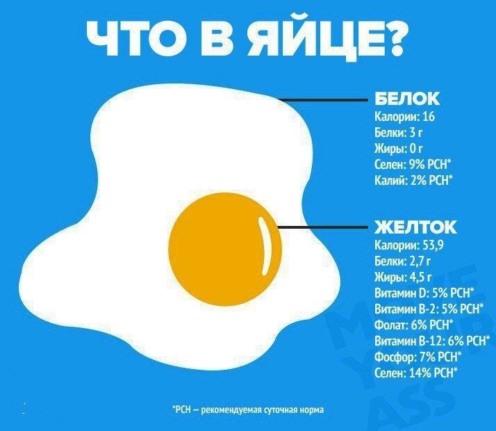  Яйца это один из самых полезных продуктов питания. В них высокое содержание железа, аминокислот и антиоксидантов. Тем не менее, вы должны всегда выбирать органические яйца, поскольку они богаты питательной ценностью, но при этом не содержат гормонов и антибиотиков.

Наше тело производит 11 незаменимых жирных кислот, которые необходимы для правильного функционирования организма, а яйца содержат остальные 9, которые так же необходимы. А именно, по данным «Центра здоровья», нехватка в организме этих 9 основных жирных кислот, может стать причиной хронической усталости, нездорового состояния кожи и потере волос, а так же ослабления иммунной системы.

Таким образом, регулярное употребление яиц обеспечит следующие преимущества для нашего здоровья:

Яйца укрепляют иммунную систему
Одно-два яйца в день могу помочь вам бороться с различными инфекциями, так как яйца богаты селеном, важным микроэлементом для нашей иммунной системы.

Яйца уменьшают стресс и волнение
Яйца содержат незаменимые аминокислоты, которые способствуют психическому здоровью, способствуют выделению серотонина, нейромедиатора отвечающего за расслабление, спокойствие и хорошее настроение.

Яйца способствуют укреплению зубов и костей
Яйца являются лучшим источником витамина D, наряду с солнечными лучами. Этот витамин имеет решающее значение для роста и развития костей и зубов. Кроме того, этот витамин вызывает поглощение кальция, который необходим для правильного обмена веществ, хорошего пищеварения и здорового сердца.

Яйца повышают когнитивную функцию
Яйца содержат холин, соединение, которое полезно для мыслительного процесса. Согласно исследованиям, дефицит холина повышает риск развития деменции, неврологического расстройства, болезни Альцгеймера, и когнитивных нарушений.

Яйца улучшают состояние кожи
В яйцах высокое содержание различных витаминов, полезных для быстрого роста волос, хорошего состояния кожи и зрения, а так же для правильного функционирования печени. Яйца особенно богаты витаминами В2 и В12, и исследования показали, что комплекс витаминов B имеет решающее значение для правильной работы когнитивной функции и здоровой нервной системы.

Яйца стимулируют потерю веса
Яйца обеспечивают чувство сытости, поэтому они идеально подходят для завтрака. Они помогут снизить аппетит и риск переедания. Согласно исследованиям, люди, которые едят яйца на завтрак, потребляют меньше калорий в течение дня.

Яйца полезны для хорошего зрения
Яйца включают в себя два антиоксиданта, лютеин и зеаксантин, которые улучшают зрение. Кроме того, они снижают риск развития глазных заболеваний, таких как катаракта и дегенерация желтого пятна.