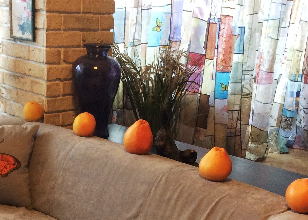 Грейпфруты на страже )))