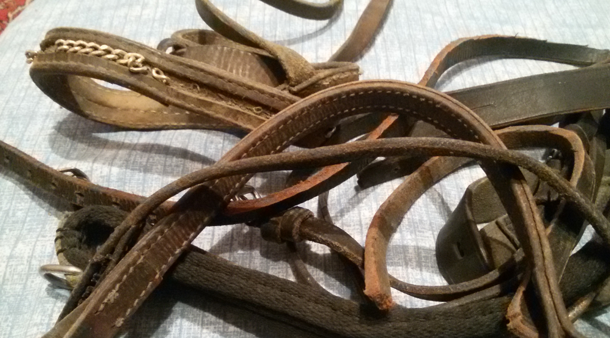 Куча ремней. Фото автора