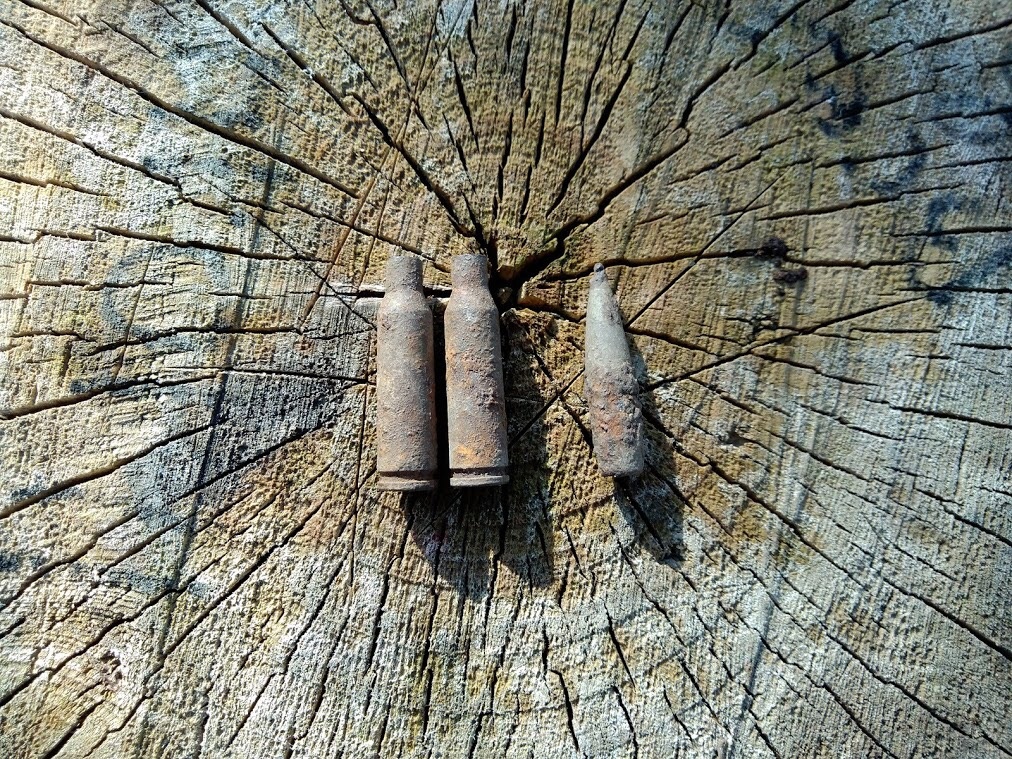 Два патрона и пуля