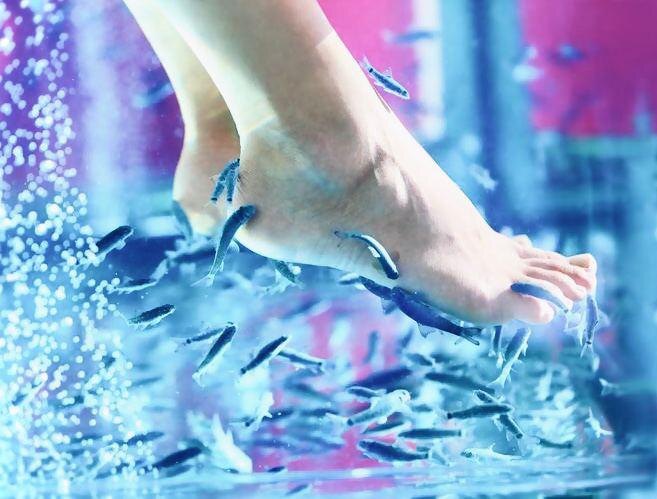 Пилинг от рыбок