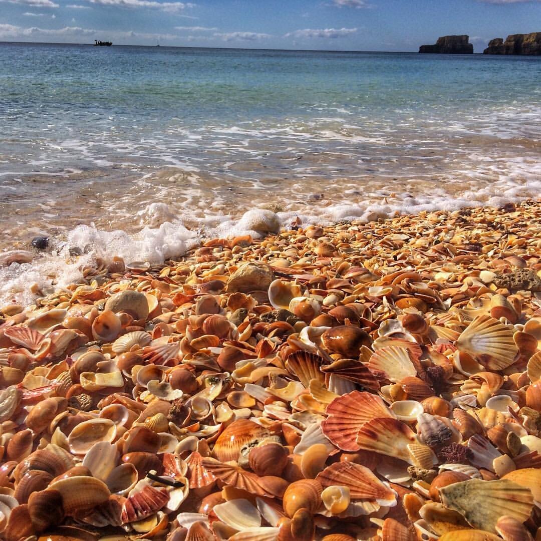 Фото из личного архива