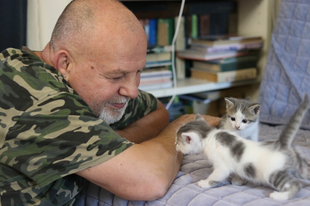 Сегодня у котят День Рождения, им исполнился месяц