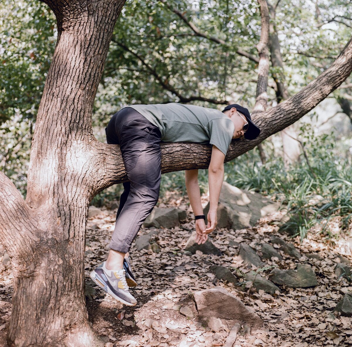 Фотография с открытой лицензией на использование. https://unsplash.com