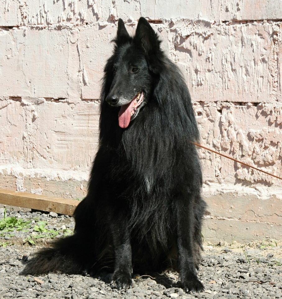 Грюнендаль Степана Сольника