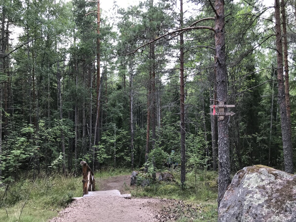 Маршрут в летнее время