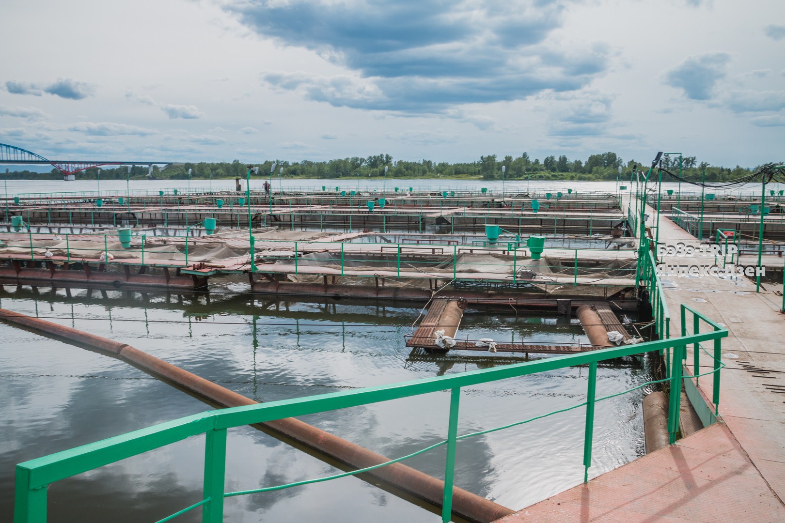 Не продали пиво после 18:00 в Красноярске. Пришлось доставать его из-под полы - как мы справились?1