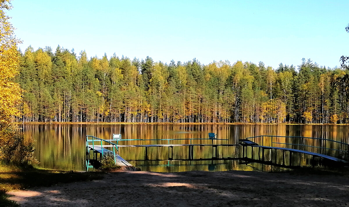 Лебяжий рай фото анжеро судженск