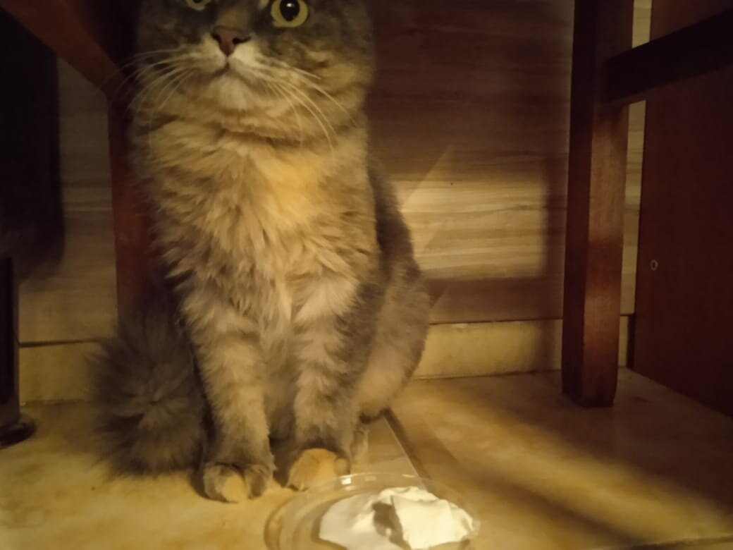 Всё это очень странно, подумала Маняха