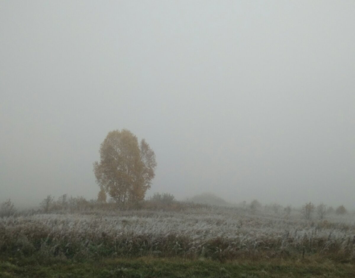 3 октября, утро.