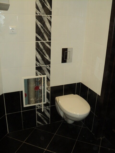 Фальшстена в санузле.