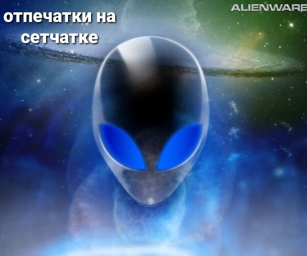 Логотип из официальной группы Вконтакте