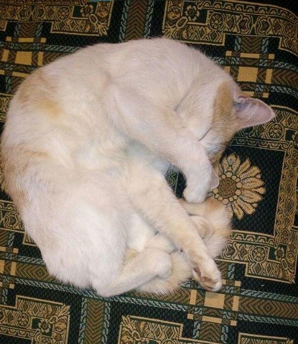 Фото автора.