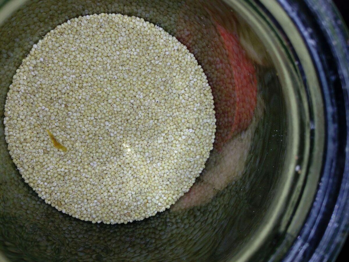 Пшено очень полезно в любом виде для поддержки почек