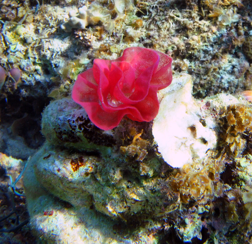 наши фото из архива