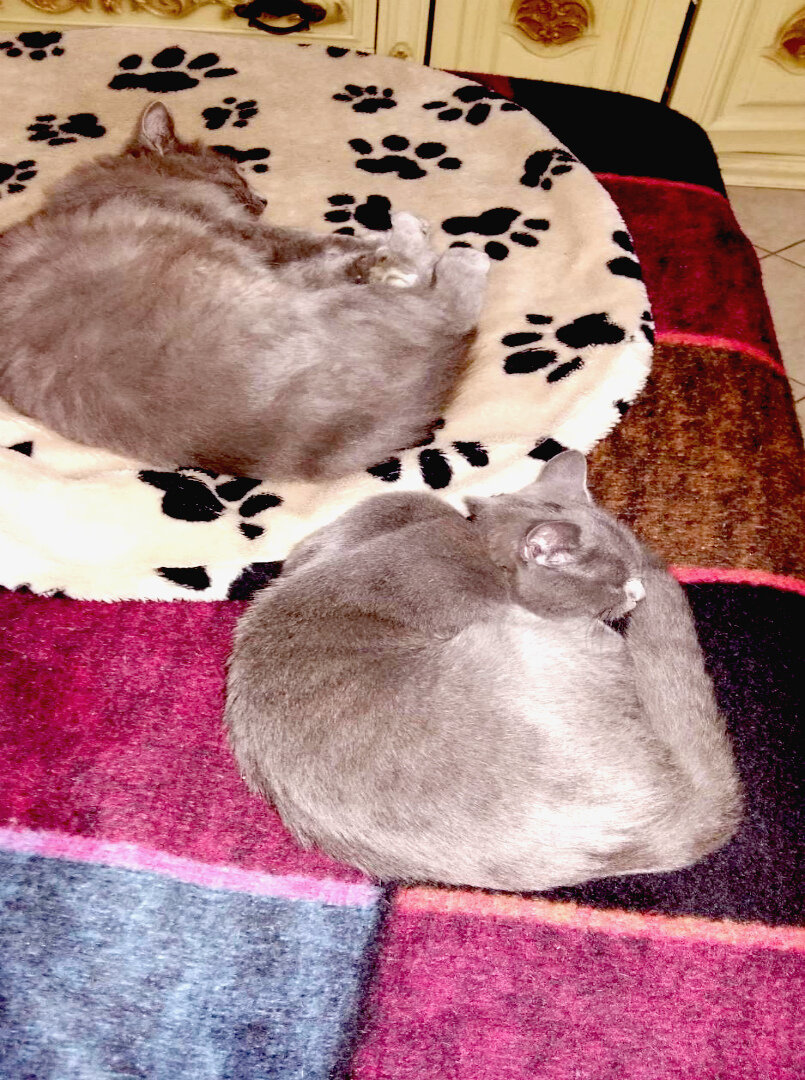 Мать и дочка.