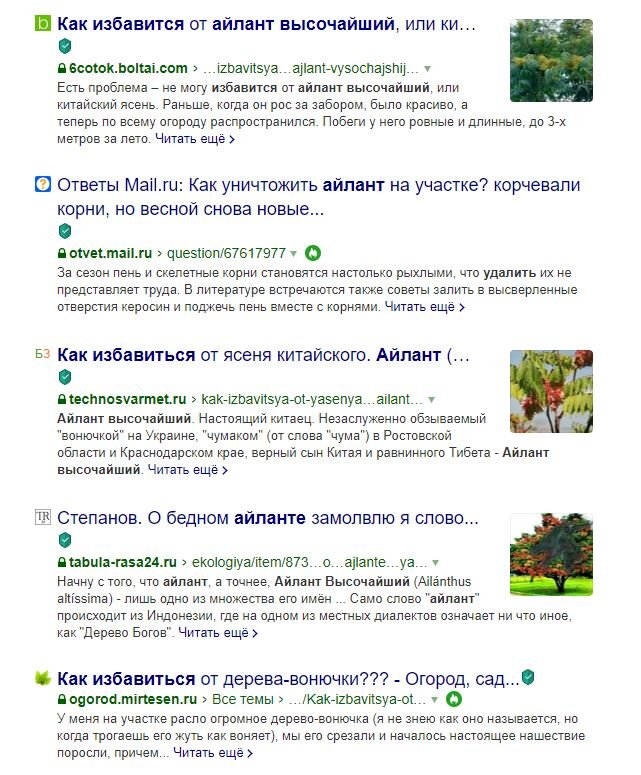 Как от него избавиться? 1001 совет