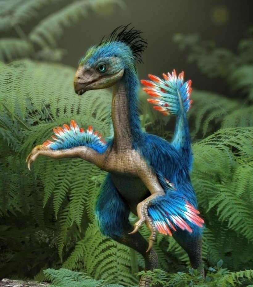 Перья помогали сохранить тепло ночью. Для крупных рептилий это важно, так как их "утренний разогрев" в противном случае потребует больше времени. 