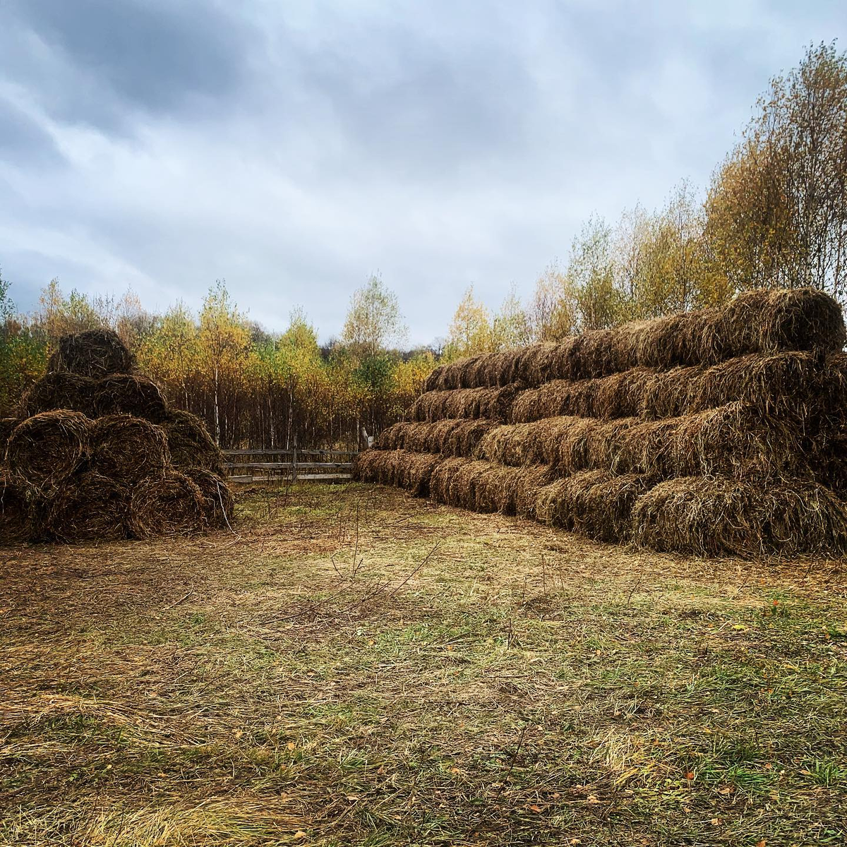 Скосили все поля, свозим сено на хранение