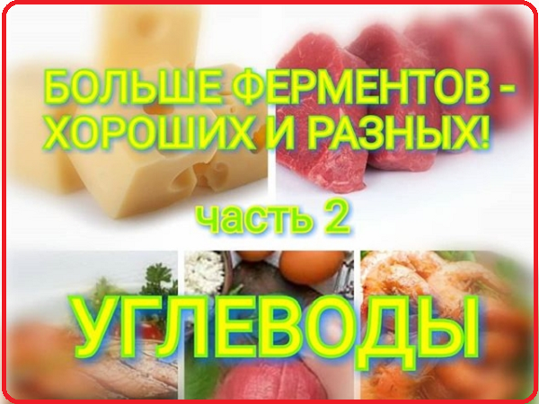 Ферменты и углеводы