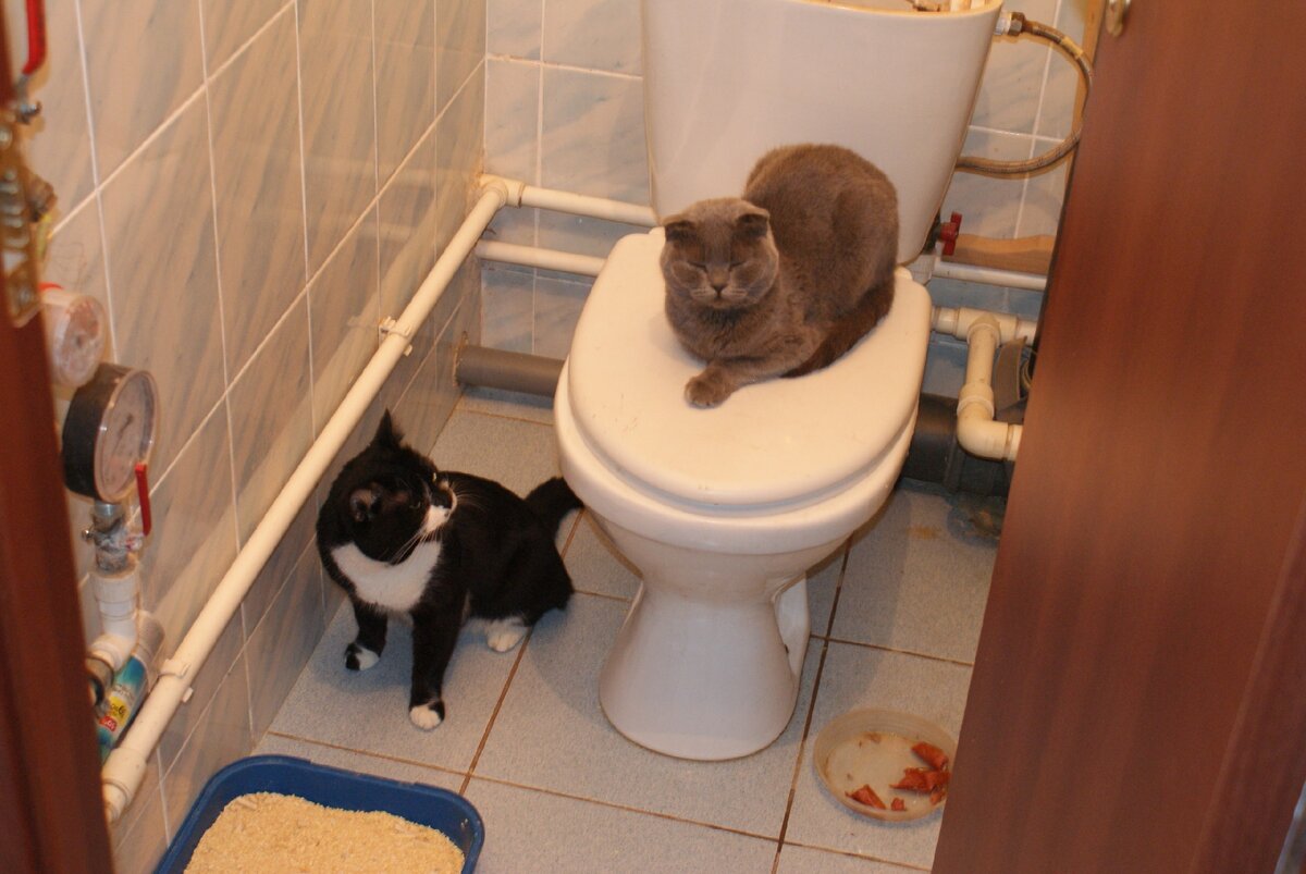 Хозяйка форфоровой горы